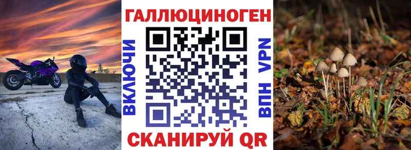 Псилоцибиновые грибы Psilocybine cubensis  Александровск-Сахалинский 